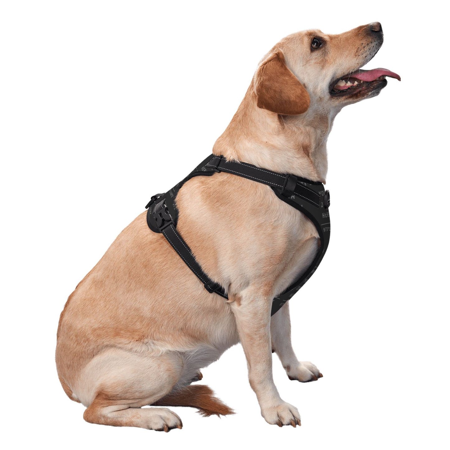 Customized Harness vest for your Dogs