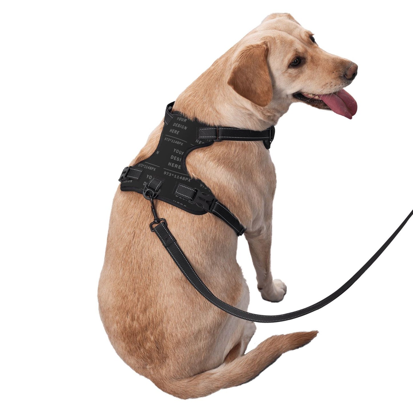 Customized Harness vest for your Dogs