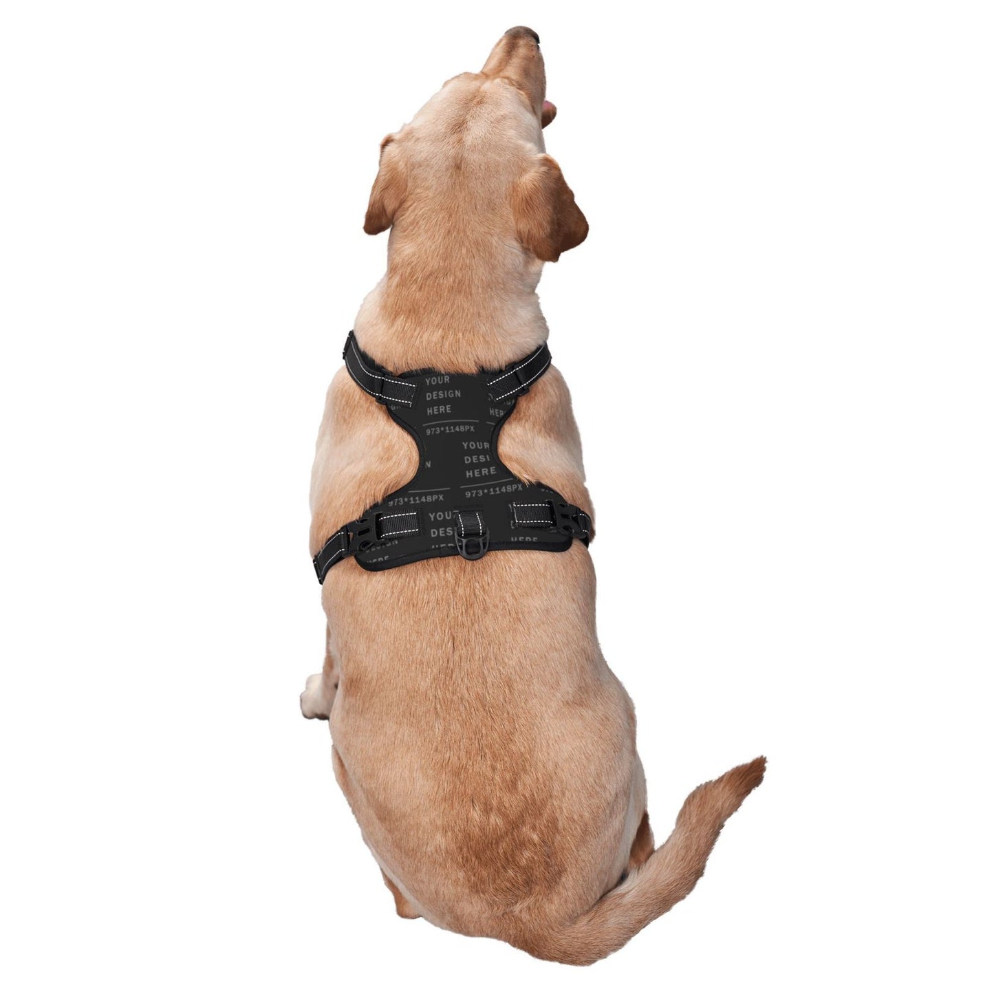 Customized Harness vest for your Dogs