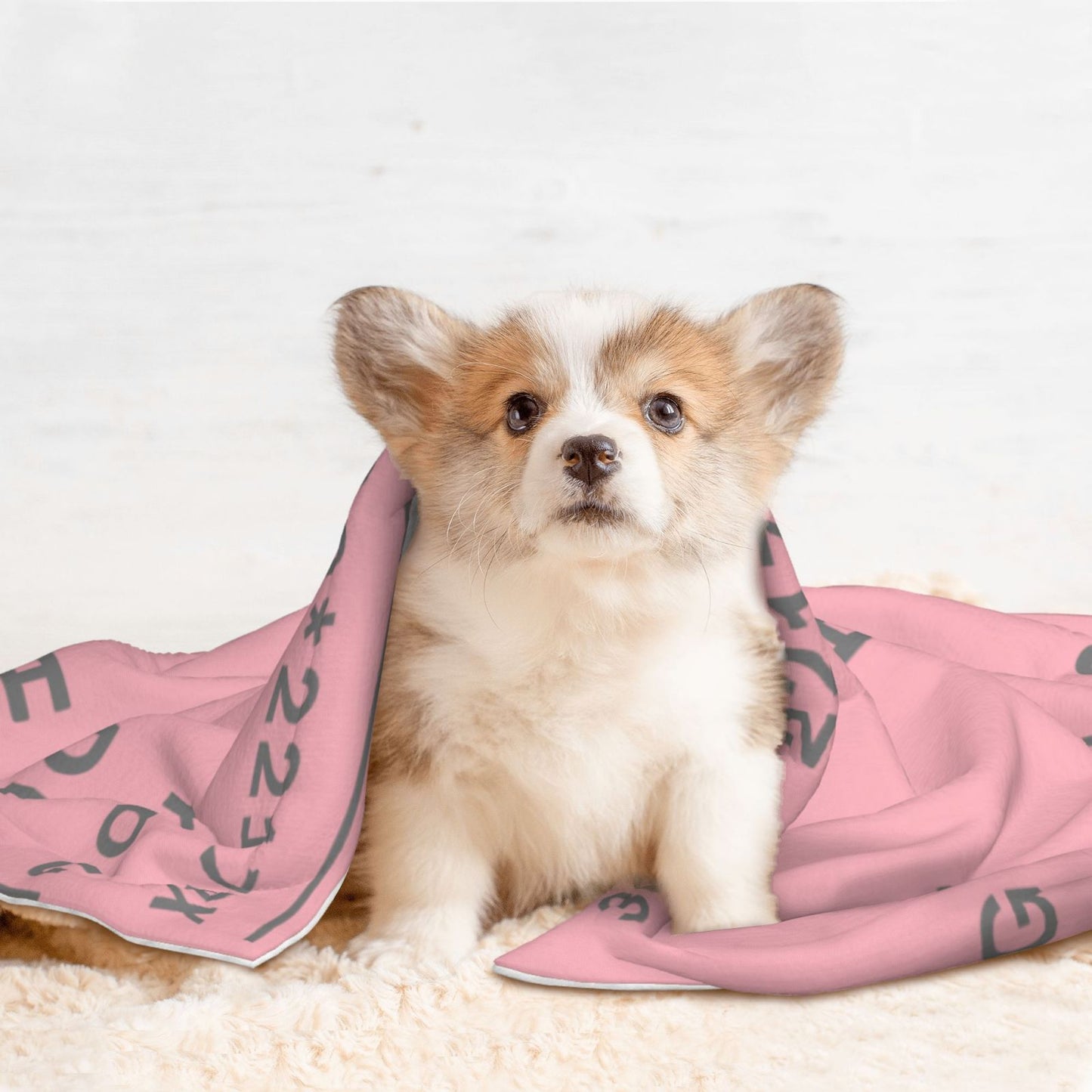 Customized Pet Blanket