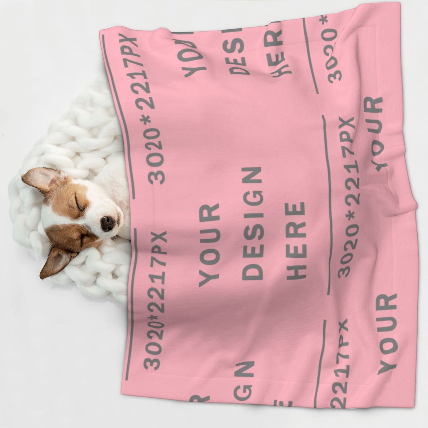 Customized Pet Blanket